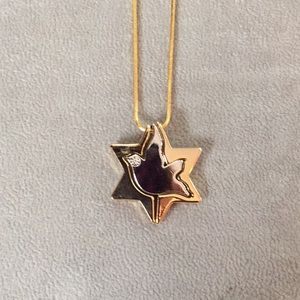 COPY - NWT Star of David necklace-with a peace dove 🕊